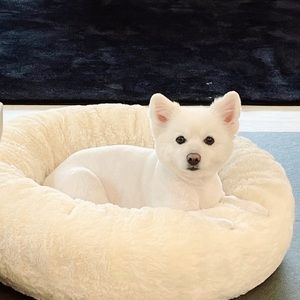 Meet your Posher, Amena